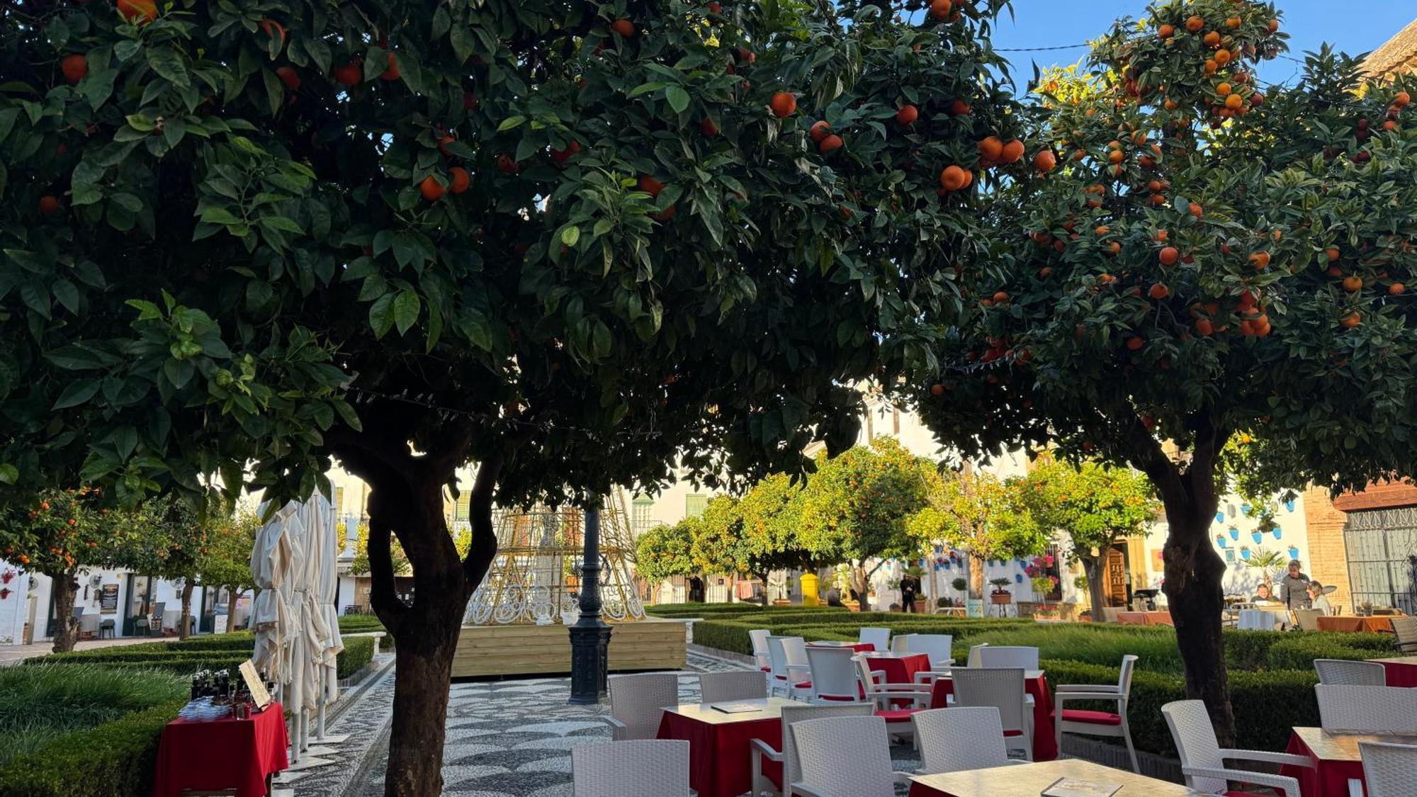 Oasis Jacuzzi Retreat Apartment Marbella Bagian luar foto