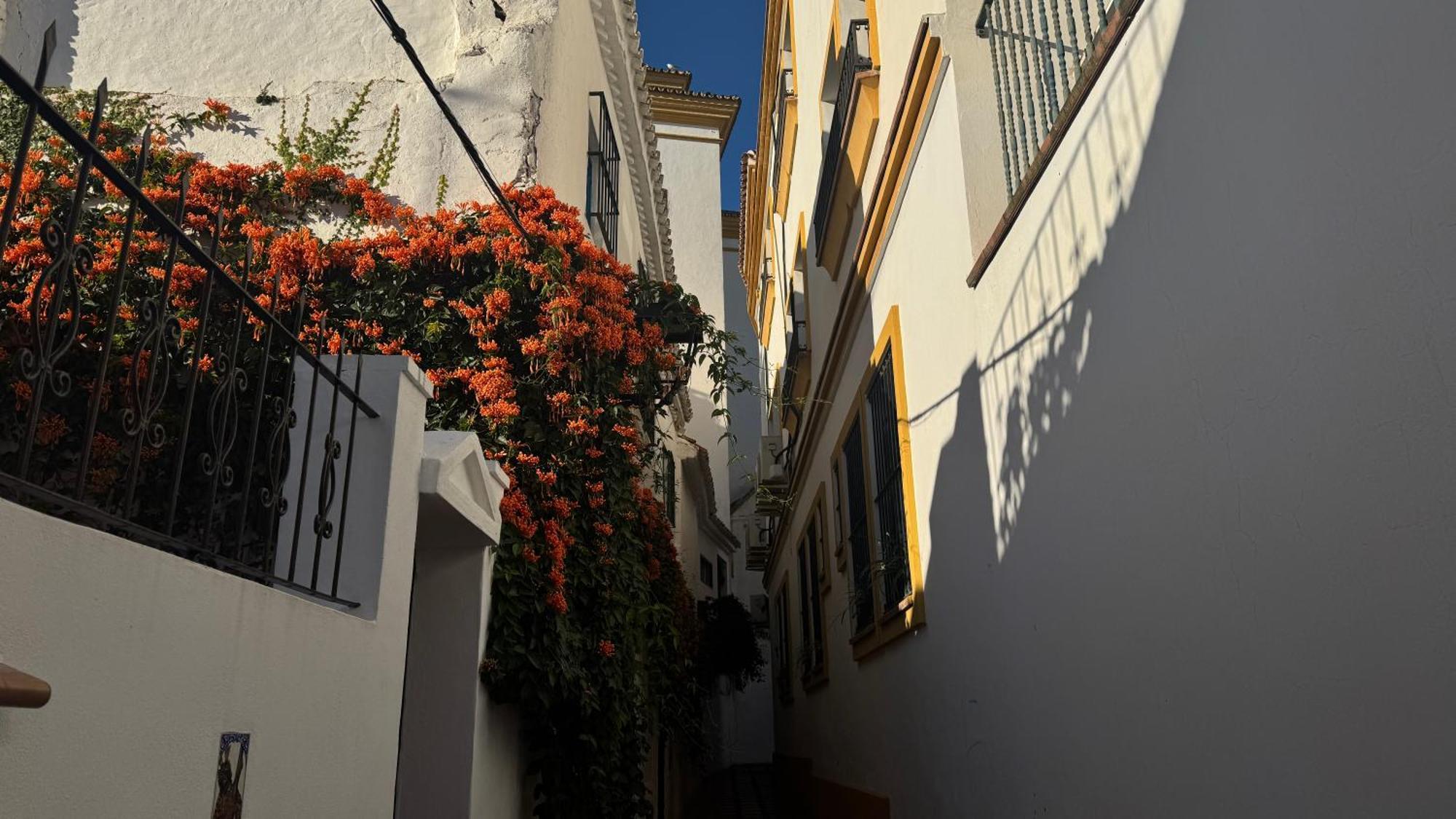 Oasis Jacuzzi Retreat Apartment Marbella Bagian luar foto